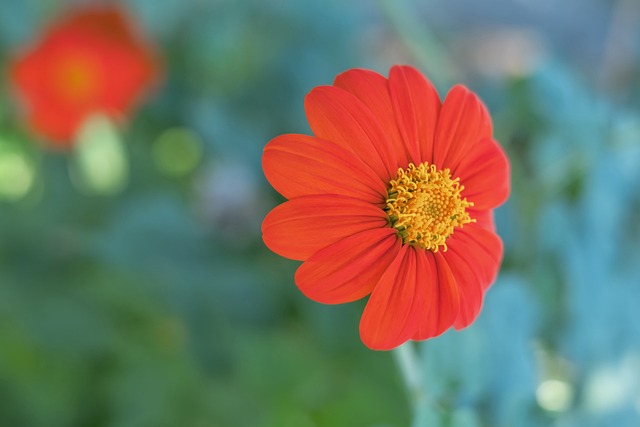 身心舒畅 身心舒畅