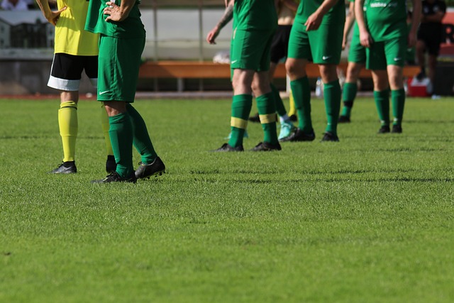 这支阵容豪 这支阵容豪