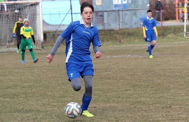 他将这项技 他将这项技