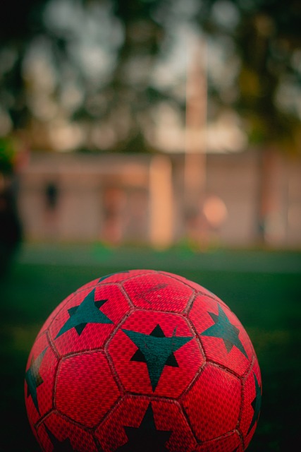 给本菲卡带 给本菲卡带