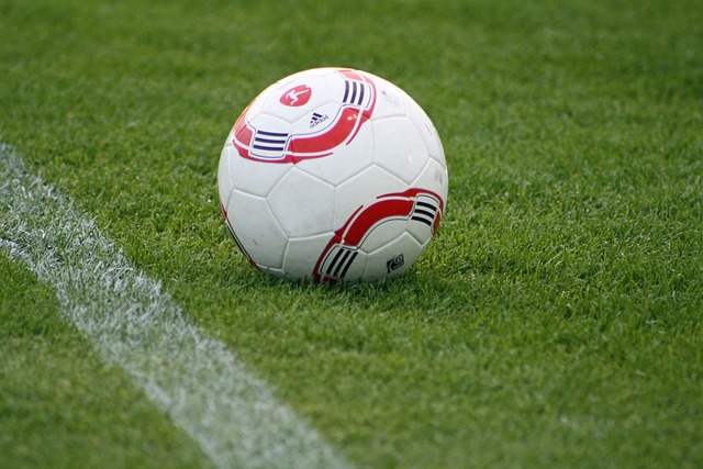 示着本菲卡 示着本菲卡